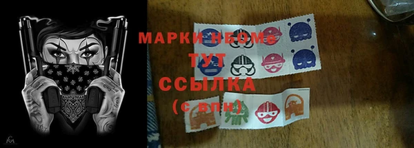 молекула духа Алзамай